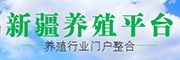 新疆养殖平台