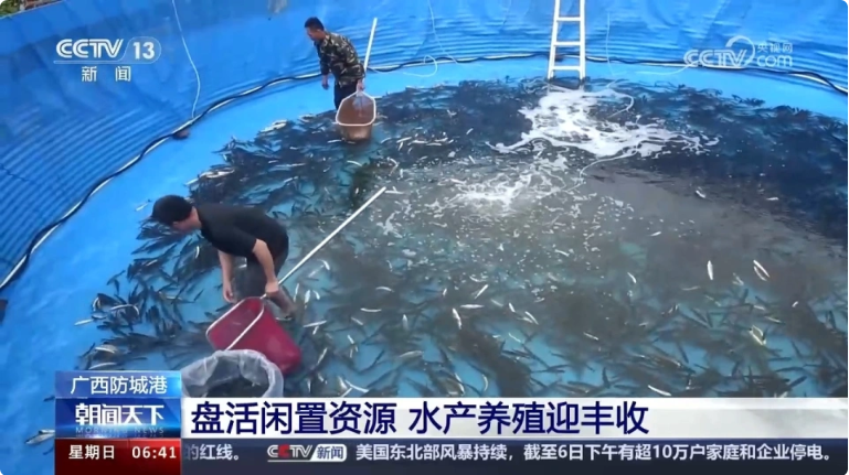 QQ截图20240407153210